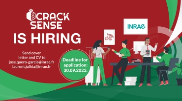 CrackSense is hiring! Read more about our latest job offer.