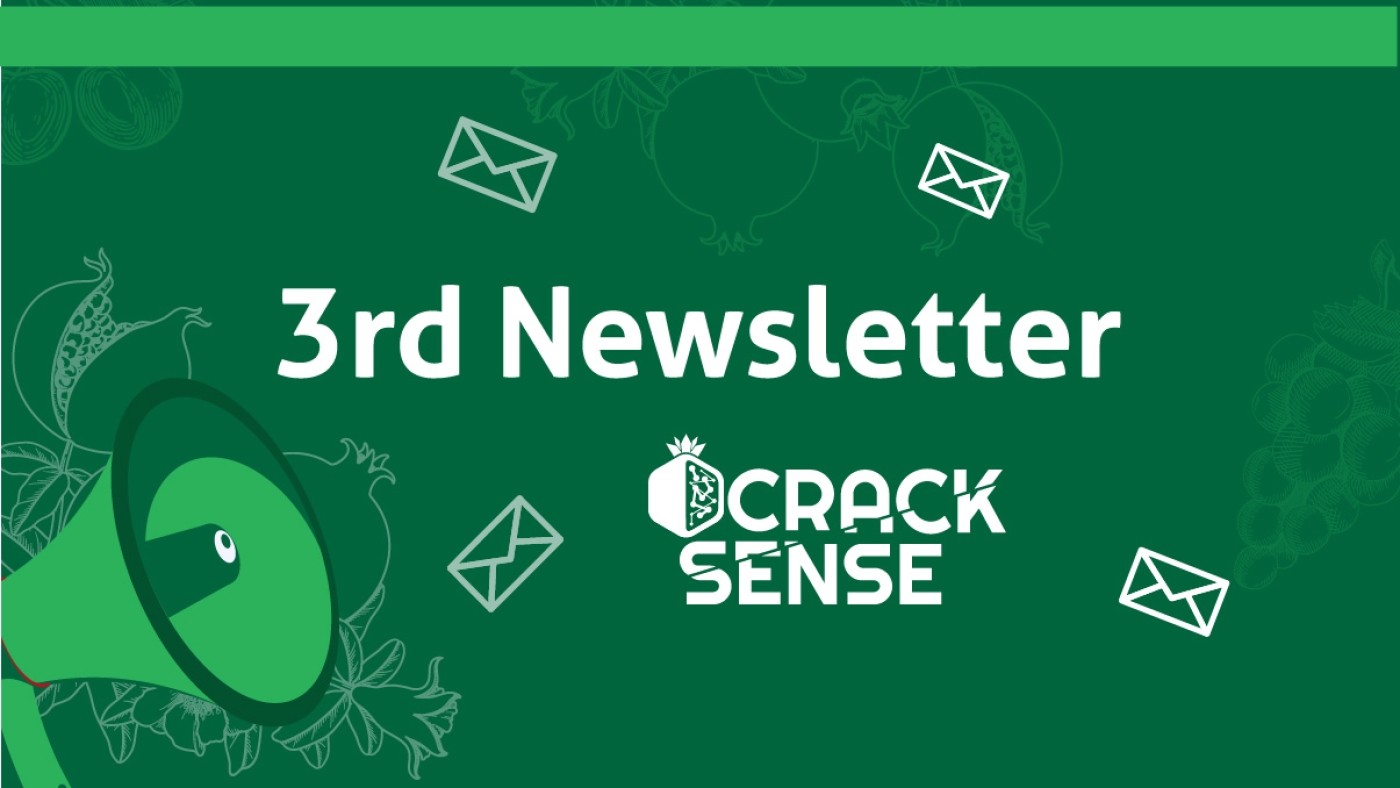 Main visual representing the 3rd CrackSense Newsletter