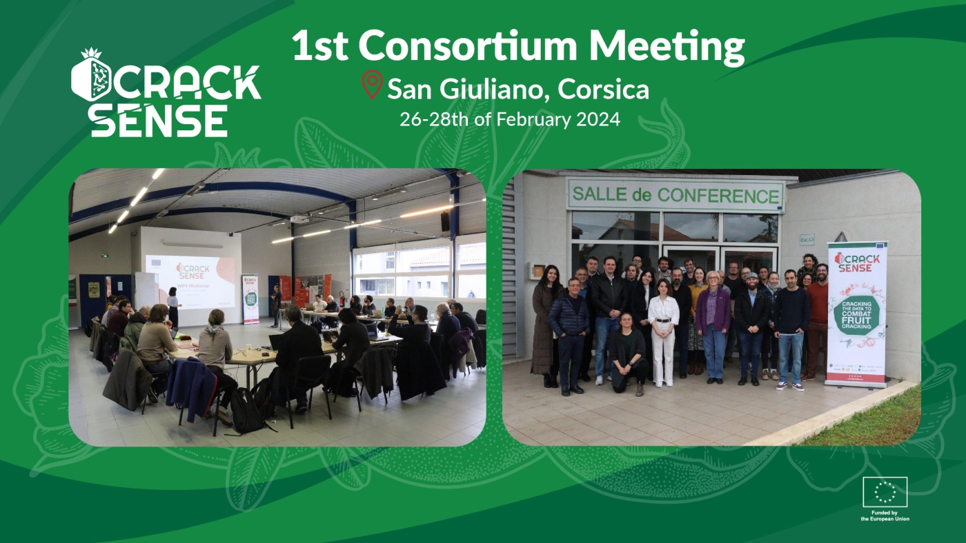 Main visual representing our blog about consortium meeting.