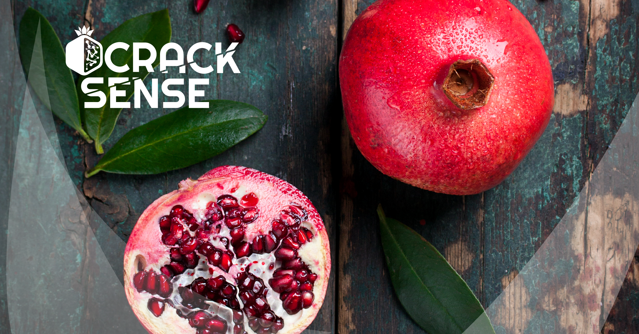 Main visual representing our blog post about pomegranate.