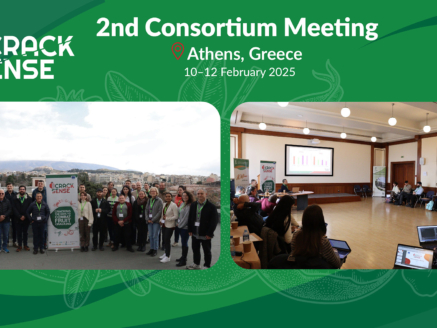 Main visual for a blog about the CrackSense Consortium Meeting in Athens.
