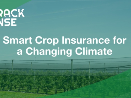 Main visual representing our blog about crop insurance.