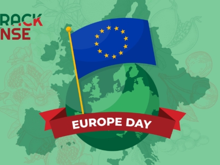 Main visual representing our blog about the Europe Day.