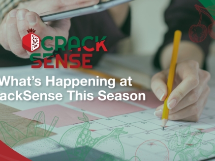 Main visual to help illustrate the recent activities in CrackSense.