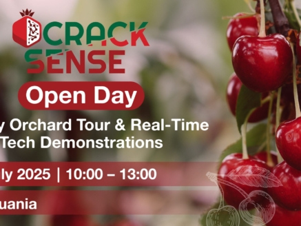 Main visual for the CrackSense Open Day at the cherry orchard.