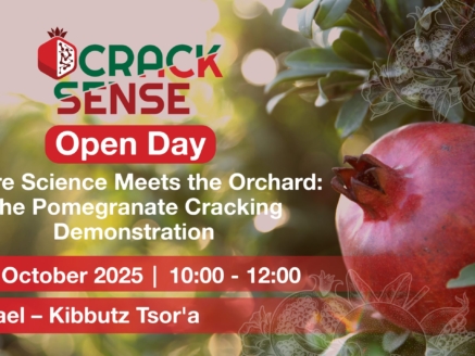 Main visual for the Pomegranate Open Day in Israel.