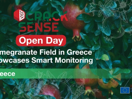 Main visual for the Pomegranate Open Day in Greece.