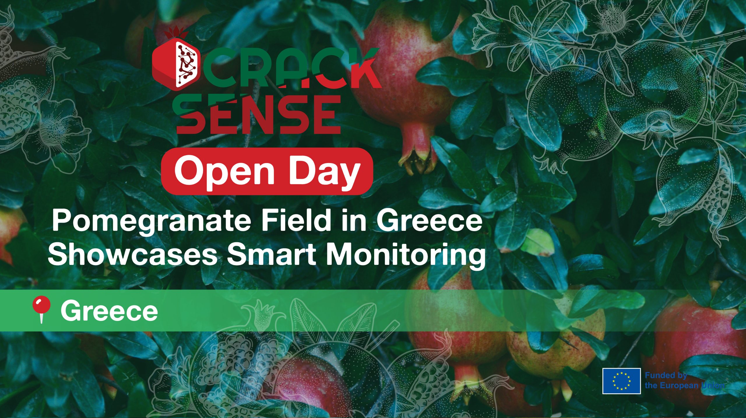 Main visual for the Pomegranate Open Day in Greece.