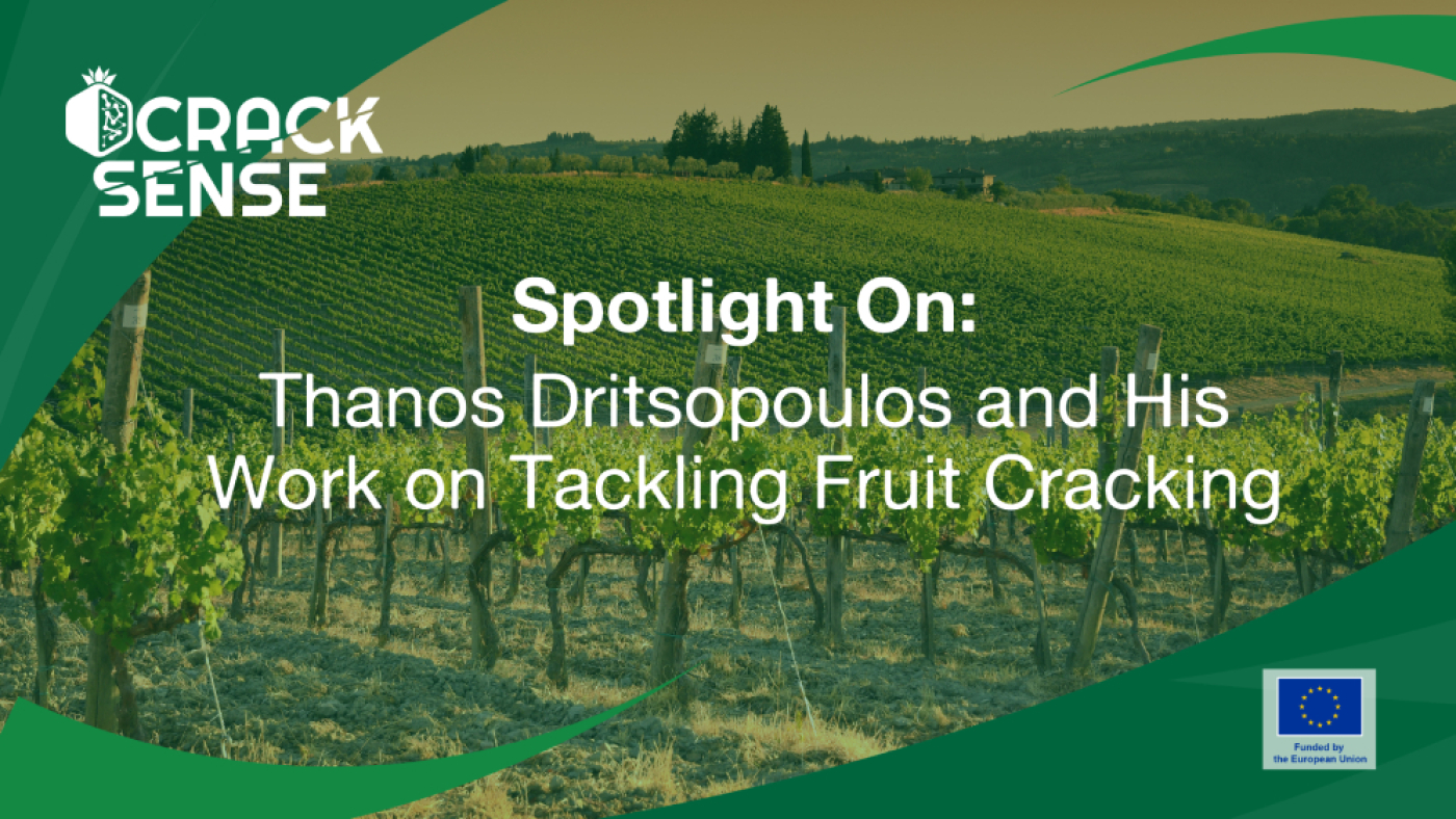 Main visual for a Spotlight On edition about Thanos and his work on fruit cracking.