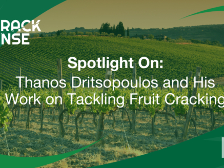 Main visual for a Spotlight On edition about Thanos and his work on fruit cracking.