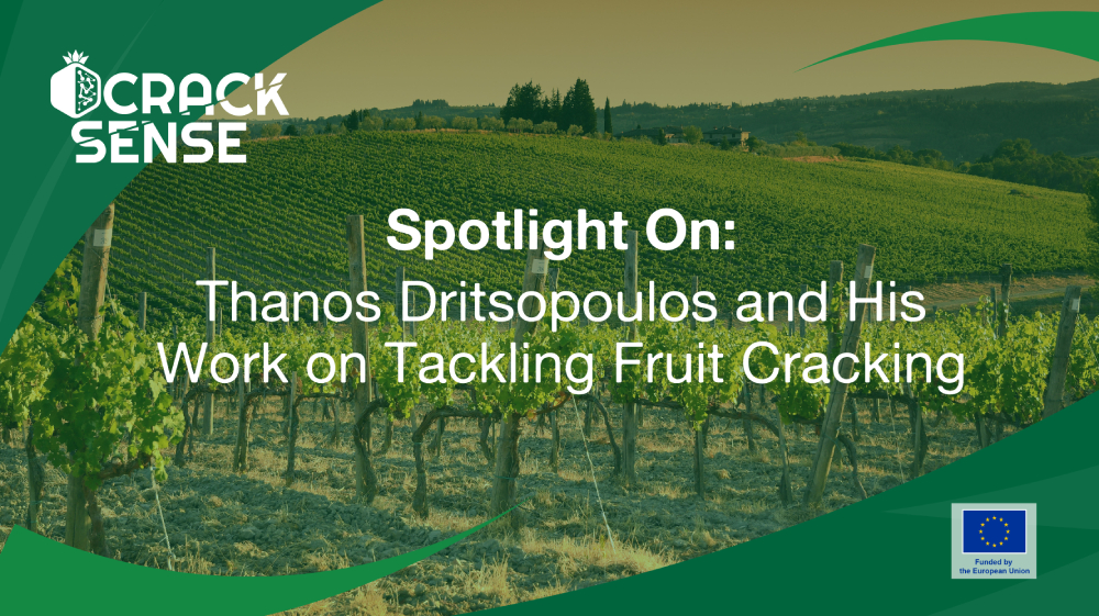 Main visual for a Spotlight On edition about Thanos and his work on fruit cracking.