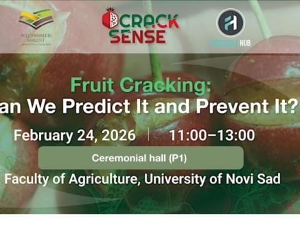 Main visual for fruit cracking panel discussion.