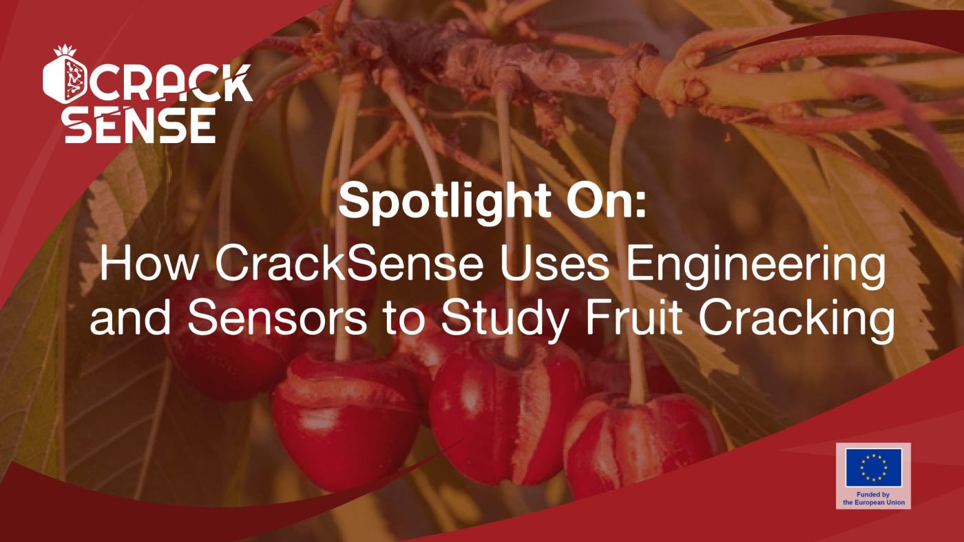 Main visual for a Spotlight On edition about engineering perspective in fruit cracking.