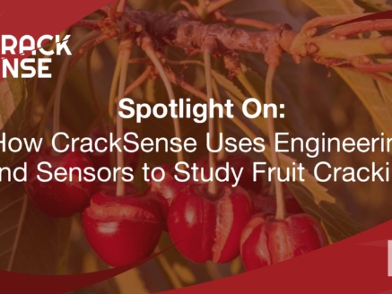Main visual for a Spotlight On edition about engineering perspective in fruit cracking.