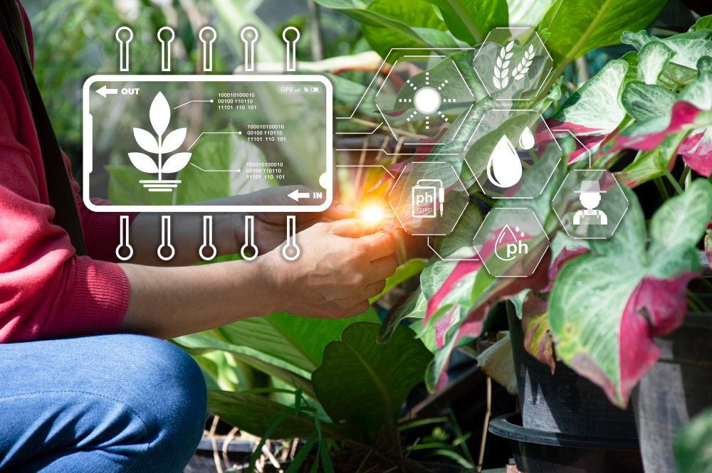 In-text visual for an interview with Dr Helene Fotouo about precision horticulture.