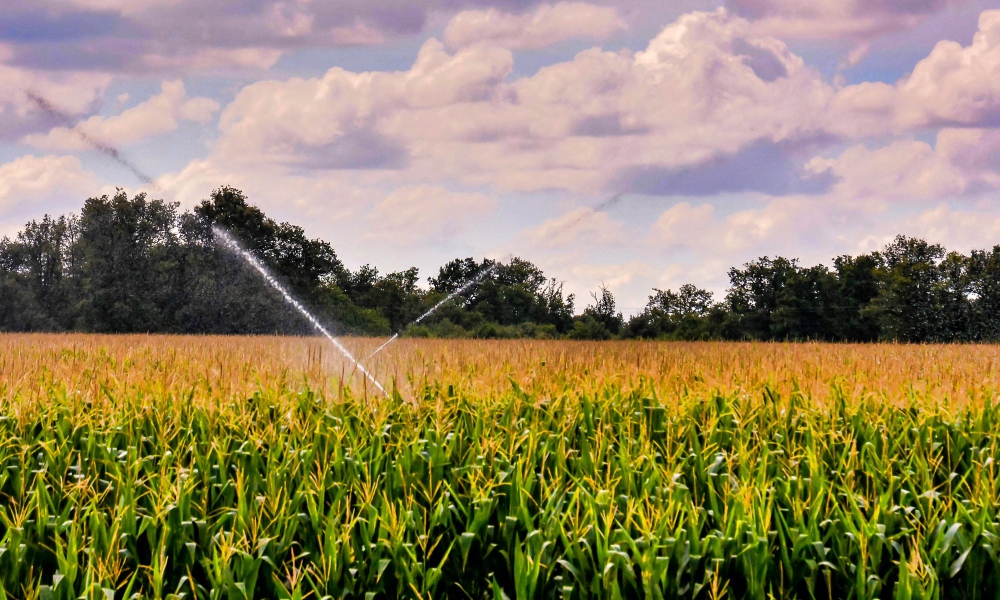 In-text visual for an interview with Nikos Arvanitis about AI in agriculture.