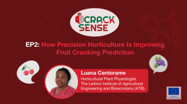 Main visual for an interview with Dr Helene Fotouo about precision horticulture.