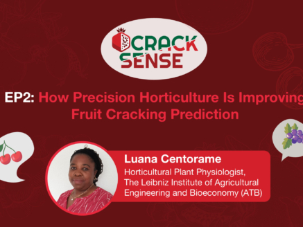 Main visual for an interview with Dr Helene Fotouo about precision horticulture.