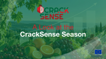 Main visual for a blog about the project's progress during this season