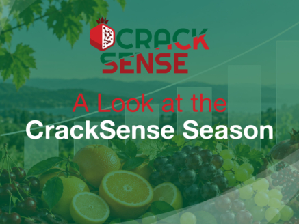Main visual for a blog about the project's progress during this season