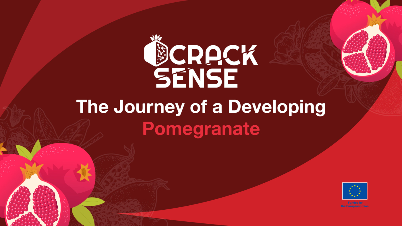 Main visual for a blog about stages of pomegranate development.