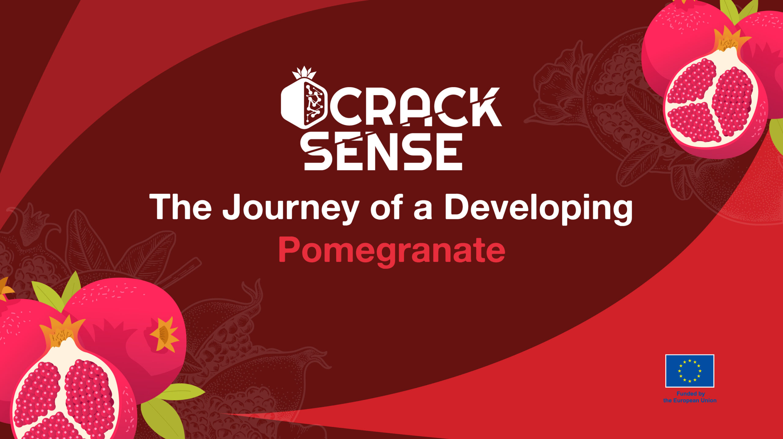 Main visual for a blog about stages of pomegranate development.