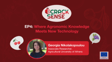 Main visual for an interview with Georgia Nikolakopoulou about Spatial Decision Support System and AI modelling.