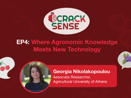 Main visual for an interview with Georgia Nikolakopoulou about Spatial Decision Support System and AI modelling.